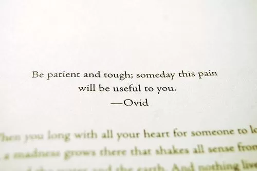 Ovid - Be patient and tough