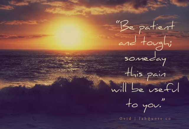 Ovid, Be patient and tough