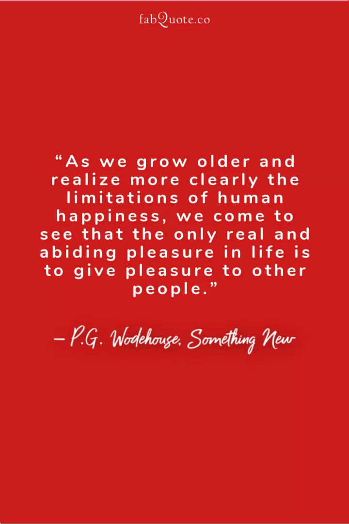 P.G. Wodehouse, Something New