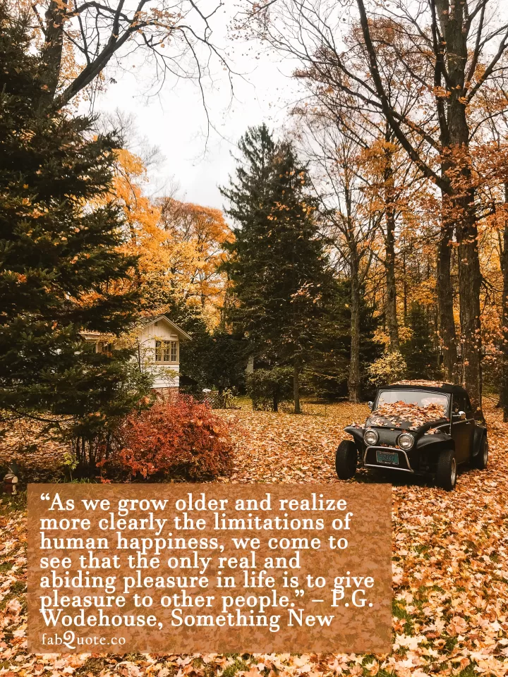 P.G. Wodehouse, Something New