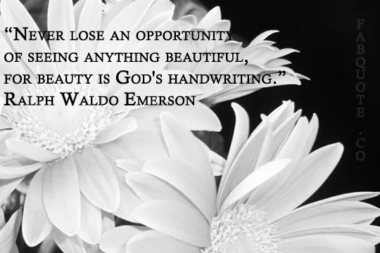 Ralph Waldo Emerson - "Beauty is God's Handwriting"