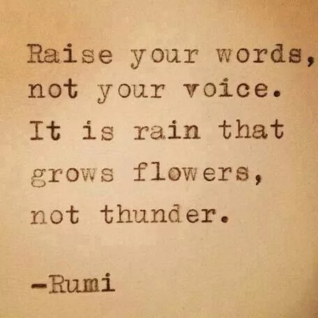Rumi "Raise your words, not your voice"