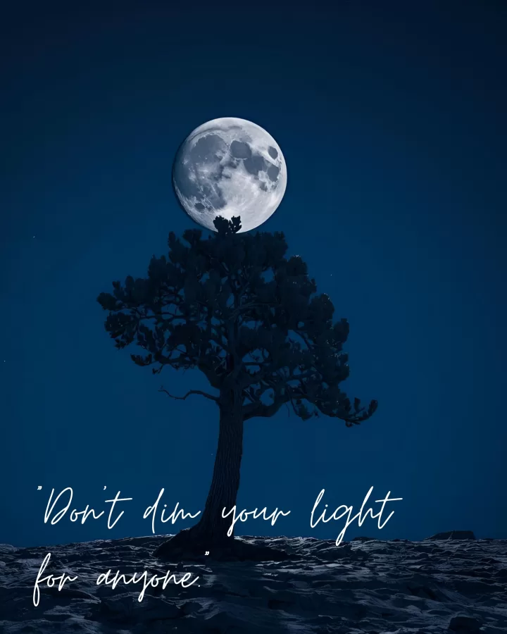 Shine Without Apology