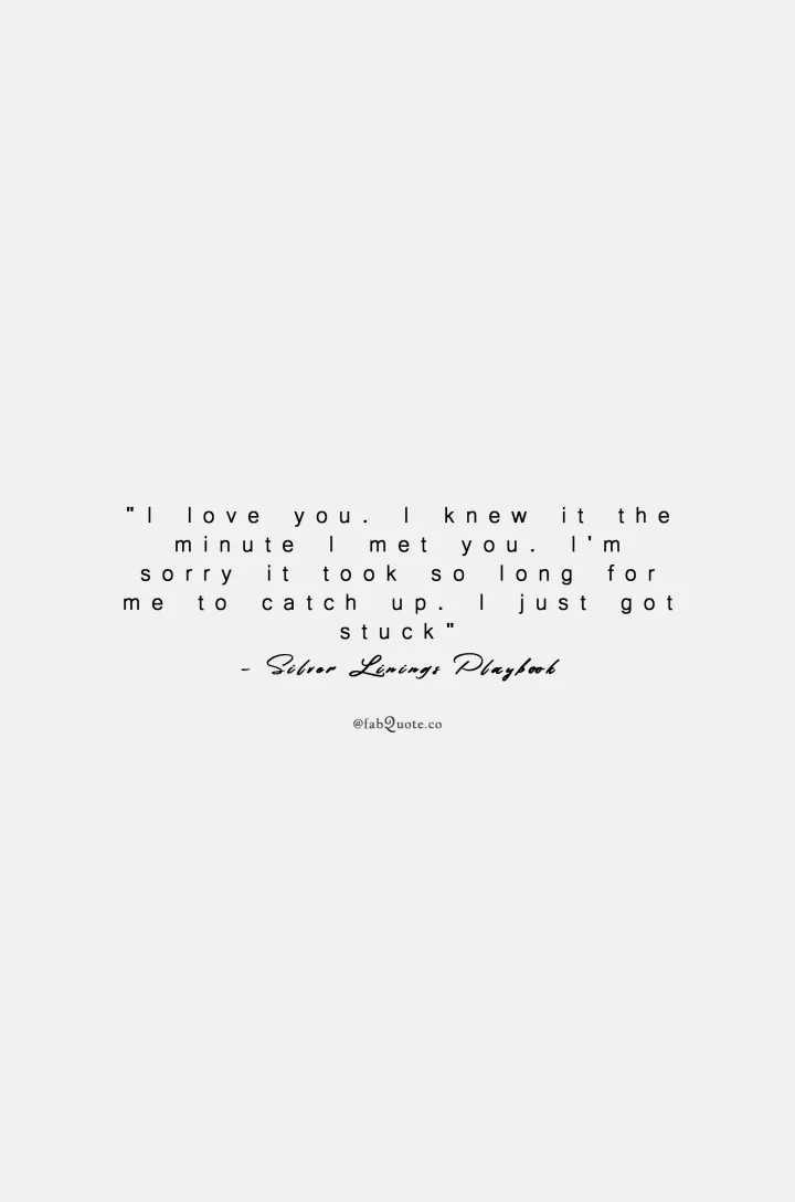 Silver Linings Playbook "I love you"