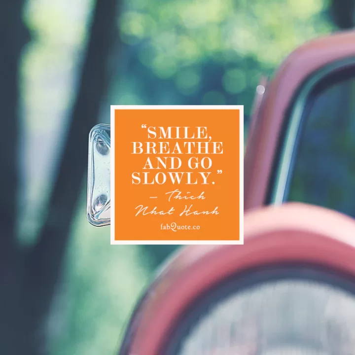 Thich Nhat Hanh "Smile, breathe and go slowly." 