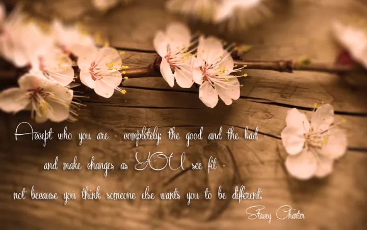 Stacey Charter - Accept who you are