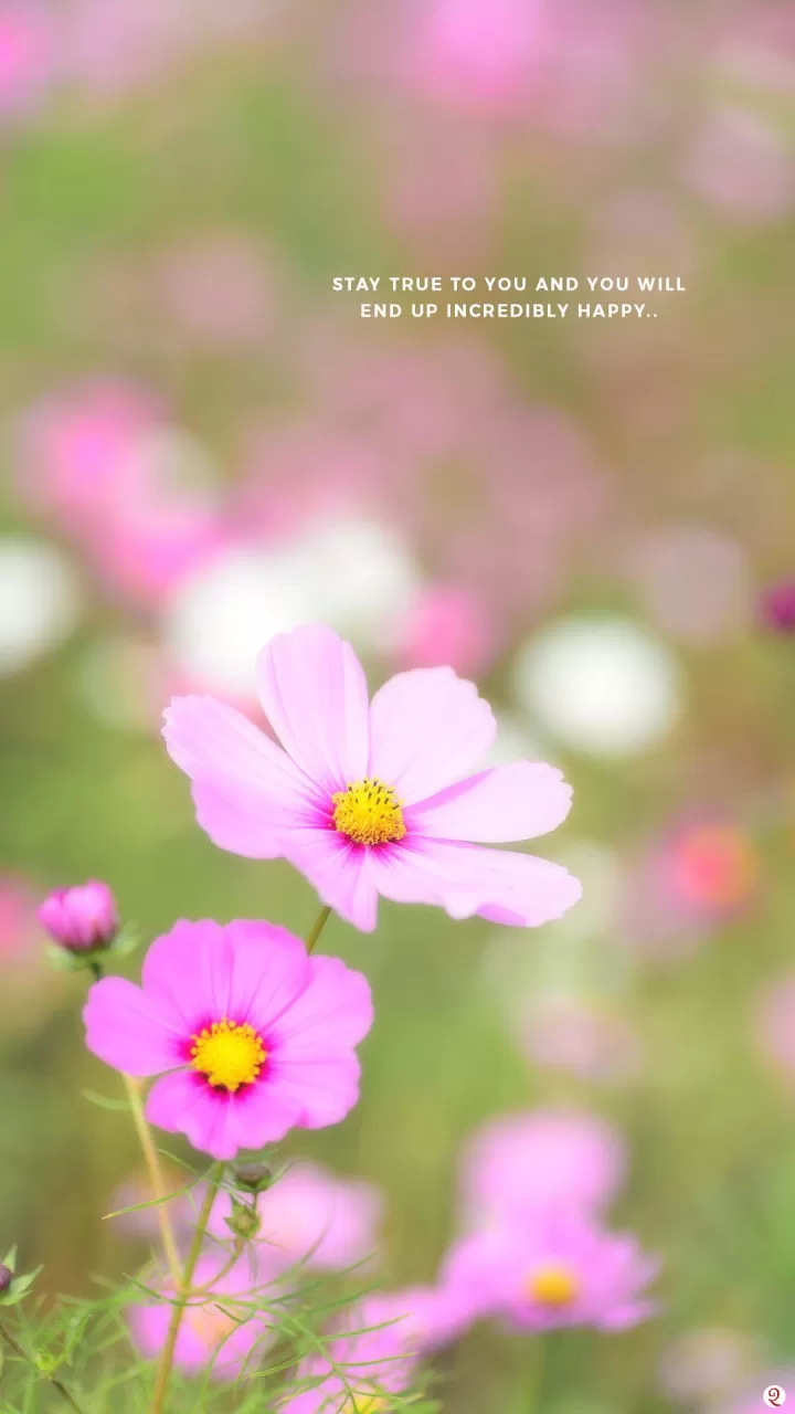 Inspirational Quotes about Self Love