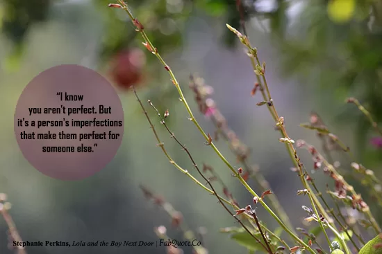 Stephanie Perkins - "Imperfections"