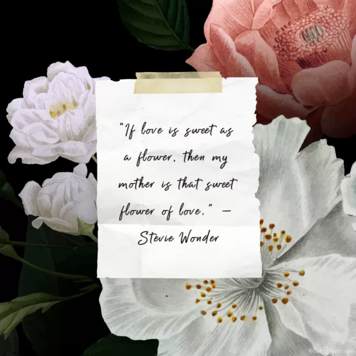 Stevie Wonder "Sweet flower of love"