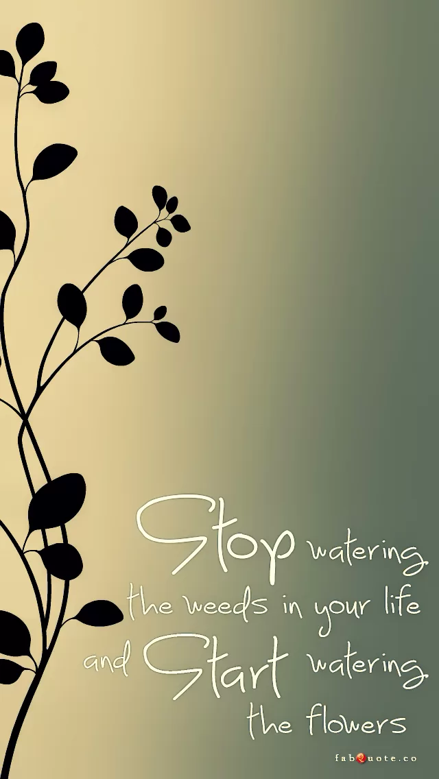 "Stop watering the weeds in your life and start watering the flowers"