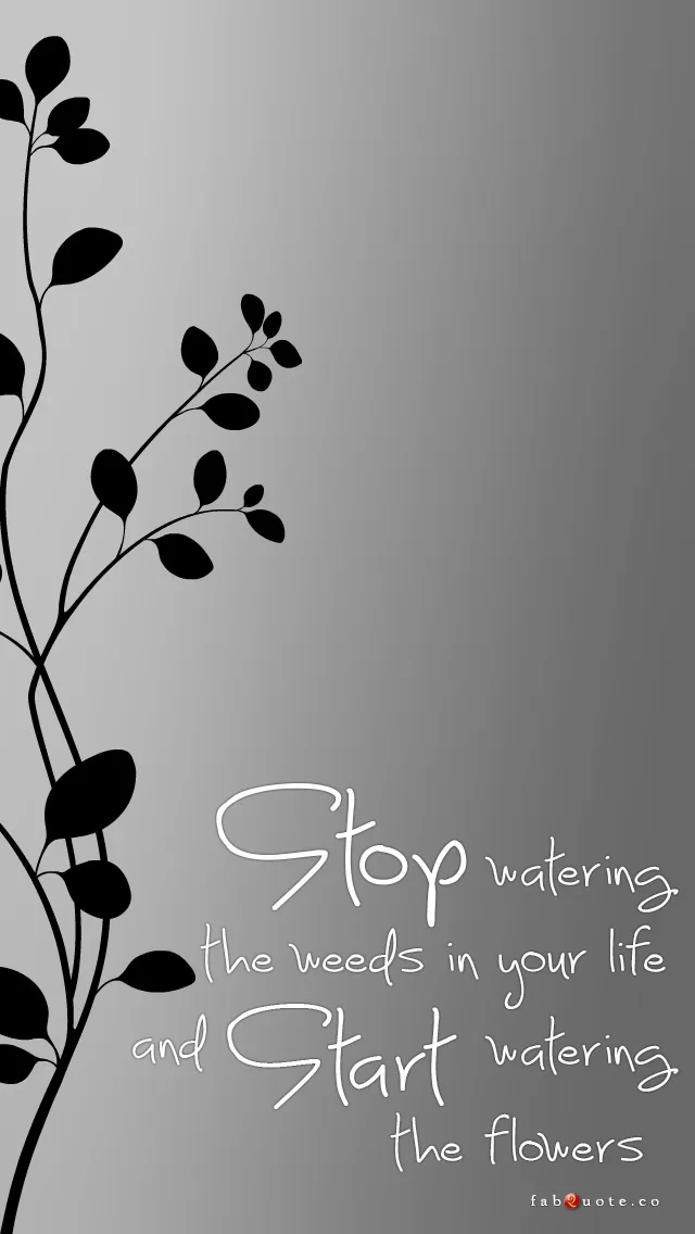 "Stop watering the weeds in your life"