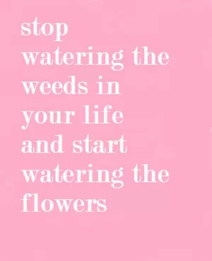 Stop watering weeds