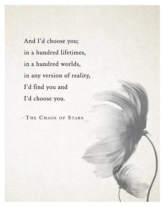 The Chaos of Stars "And I'd choose you"