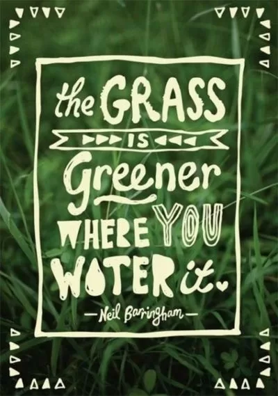 The Grass is greener where you water it