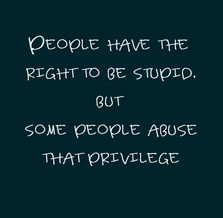 The Right to Be Stupid