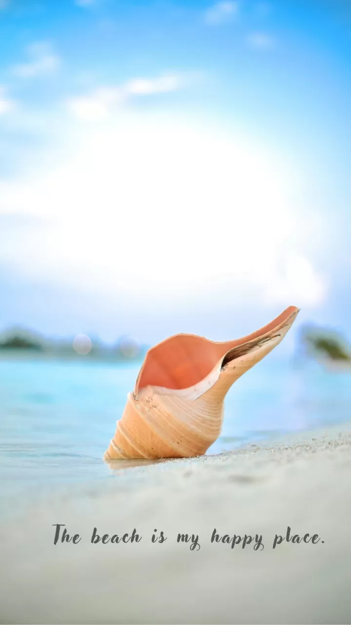 "The beach is my happy place"