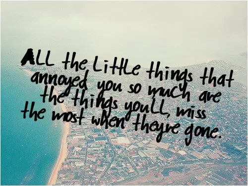 "The little things in life"