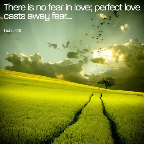 There is no fear in love