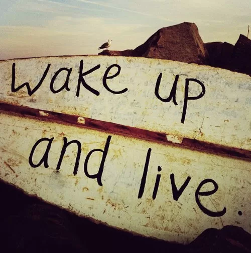 Wake Up and Live