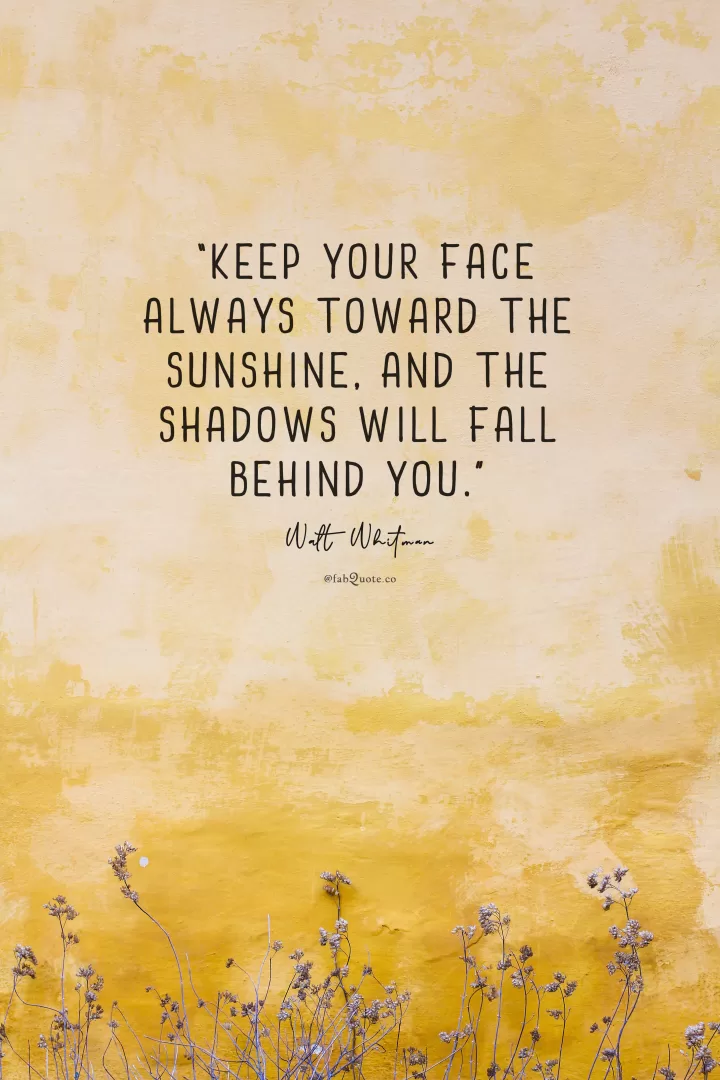 Walt Whitman "Keep your face toward the sunshine"