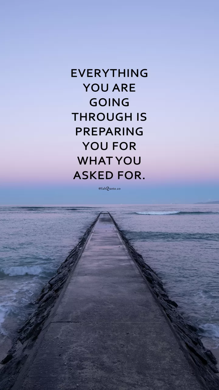 "What you asked for"