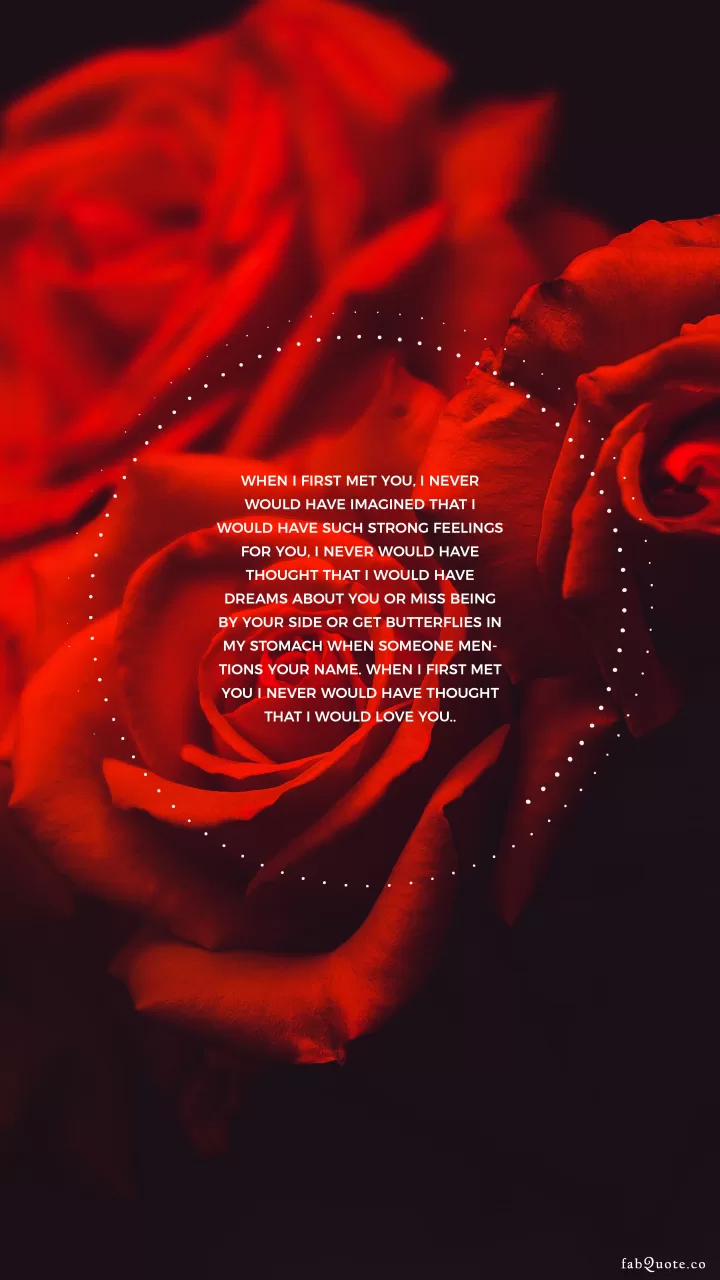 "When I first met you.." Love Quotes