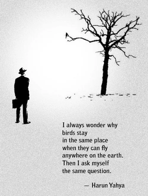 Harun Yahya - "I always wonder"