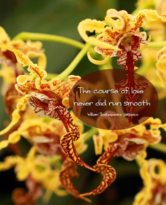 William Shakespeare - The course of Love