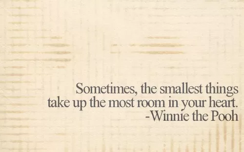 Winnie the Pooh - The Smallest Things