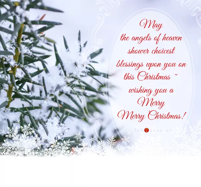 "Wishing you a Merry Merry Christmas!"