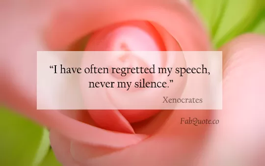 Xenocrates - "Never regretted my silence"