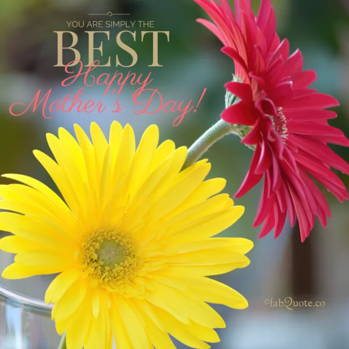 "You are Simply the Best"