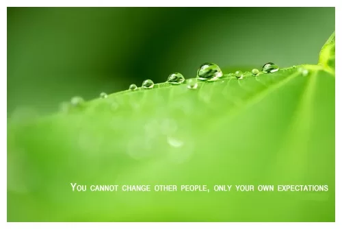 You cannot change other people