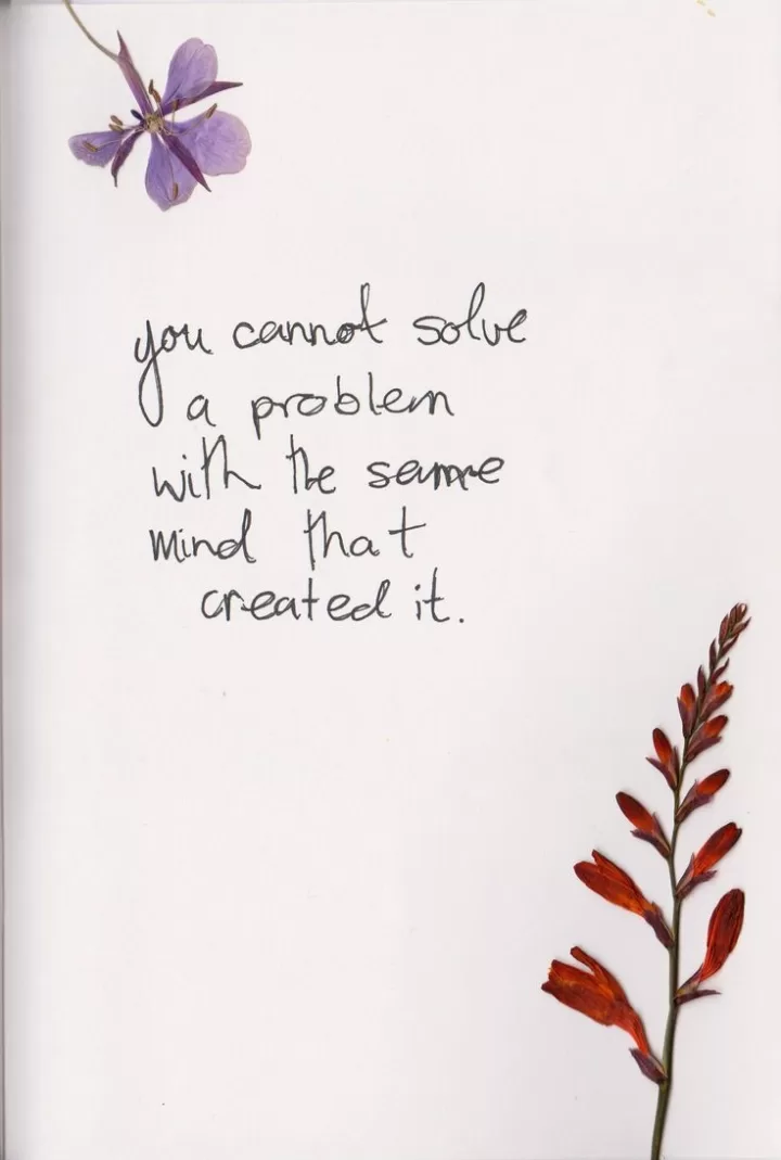 "You cannot solve a problem with the same mind that created it"