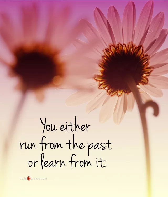 "You either run from the past or learn from it"