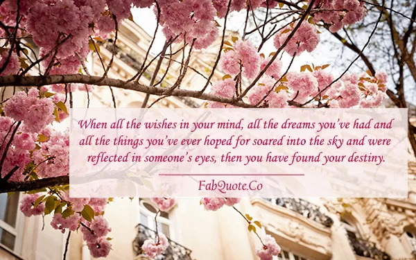 "You know you found your destiny"