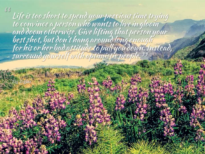 Zig Ziglar "Surround yourself with optimistic people"